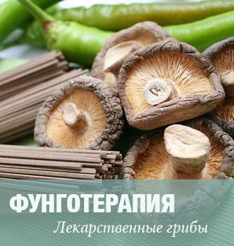 Брусниця при циститі - корисні властивості і рецепти застосування