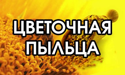 Чим багата квіткова переноситься пилок