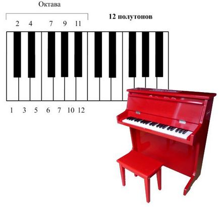 Numărul 12, matematica care îmi place