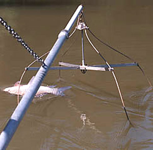 Що тягне за собою використання електровудки розповімо, блог про риболовлю