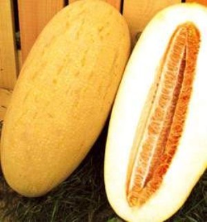 Melon hasznos és káros tulajdonságait nyalánkság