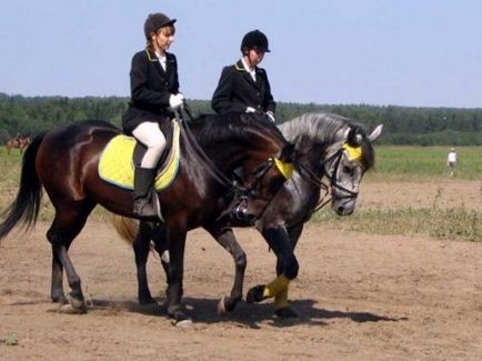 Rider outfit - site despre cai