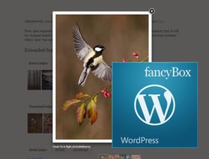 Fancybox wordpress plugin dolgozik a könyvtárban