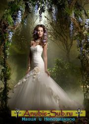 Verva miresei și culoarea rochiei de mireasă sunt semne de nuntă