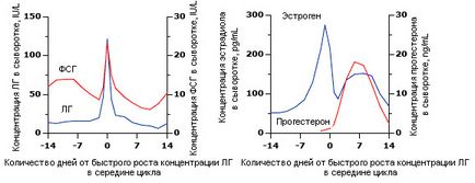 Fiziologia ciclului menstrual normal