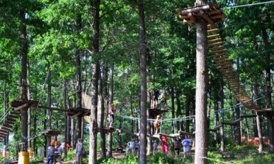 Parcul forestier (cultură fizică și complex sportiv zadonsk) - articol - recreere cu copii