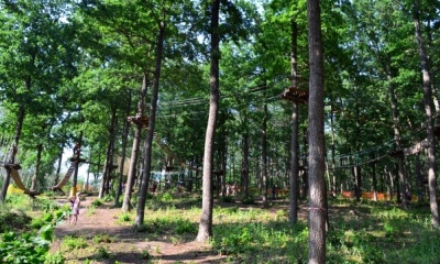 Parcul forestier (cultură fizică și complex sportiv zadonsk) - articol - recreere cu copii