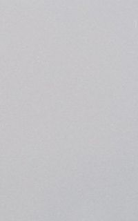 Фотограф алексей алексєєв (Амбротипія, тінтайпи, мокрий колодій) - матове скло для камери