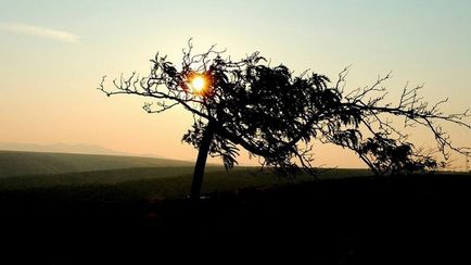 Фотографії сонця - як знімати світанок або захід