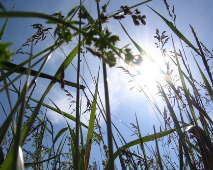 Képek a nap -, hogyan kell lőni a napfelkeltét vagy naplementét