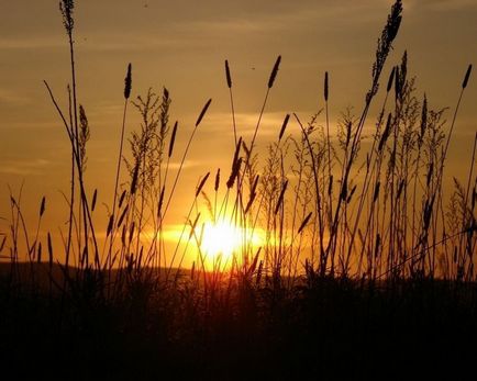 Фотографії сонця - як знімати світанок або захід