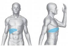 Herpes az ajkak, a test, az arc