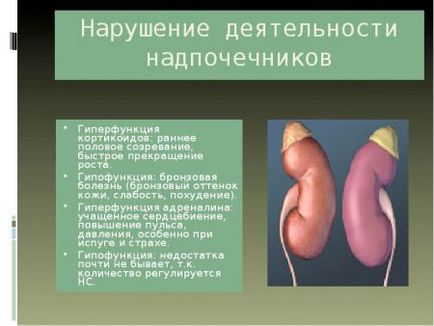 Hyperfuncția și hipofuncția simptomelor și tratamentului glandelor suprarenale (medulla)