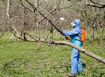 Pulverizarea albastră tratează grădina