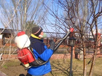 Блакитне обприскування лікує сад