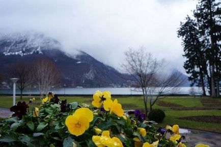 Oras Annecy (Annecy) in Franta, obiective turistice Ansi, cunosc in strainatate