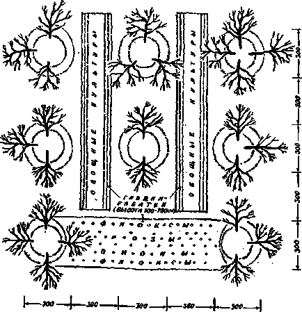 Paturi - lenjerie de pat