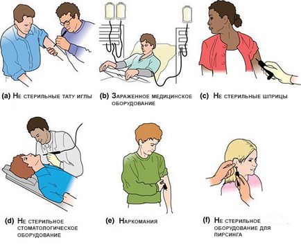 Hepatitis c (hcv) lifecycle - medical animation