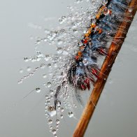 Ідея фотографії краплі води на склі