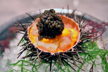 Sea Hedgehog Caviar proprietăți utile