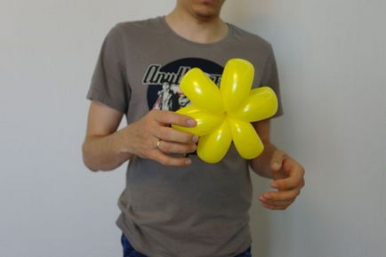 Instrucțiune, clasă de master, baloane de margarete - baloane myballoons