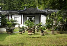 Arta de bonsai în designul peisajului, lângă casă