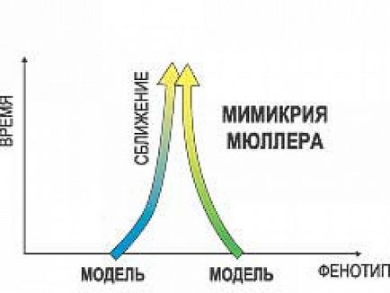 Мистецтво наслідування, наука і життя