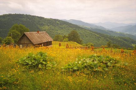 Explorarea Carpaților 7 locuri pentru o varietate de recreere