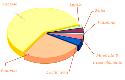 Yogurtin (praf de iaurt), uscat 20 gr cumpara la un pret de 165 ruble