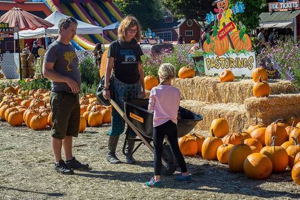 Cum se pregătește America pentru Halloween - știri în fotografii