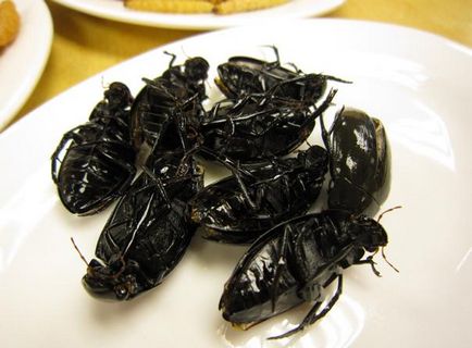 Ce insecte sunt consumate în China