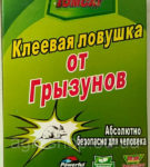 Как да се отървем от мишките в страната, отколкото им плаши, народни средства за борба с тях