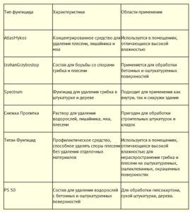 Як позбутися від цвілі на балконі своїми руками