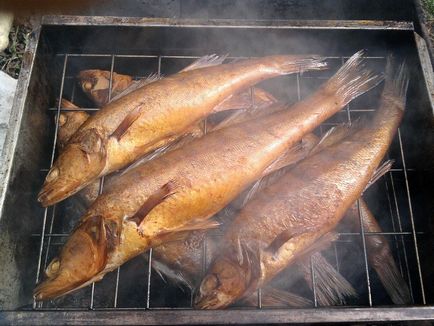 Як коптити рибу рецепт копчення риби