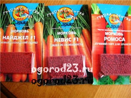 Cel mai bun mod de a planta morcovi și când - caracteristici, calendar