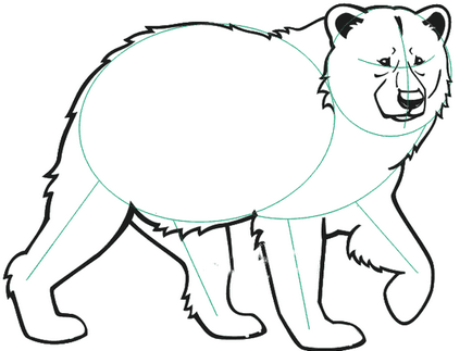 Ca începător pentru a desena un urs în etape cu un creion, ls