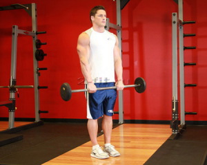 Ahogy szivattyú brachialis (brachialis izom brachialis) Hogyan építsünk brachialis