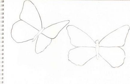 Як намалювати метелика олівцем