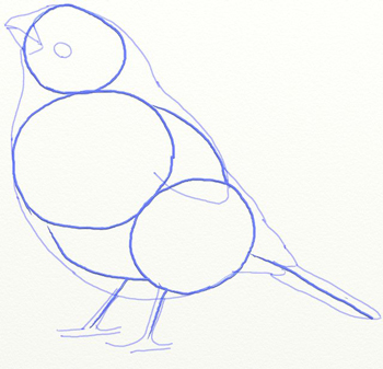 Cum de a desena Bullfinch în etape