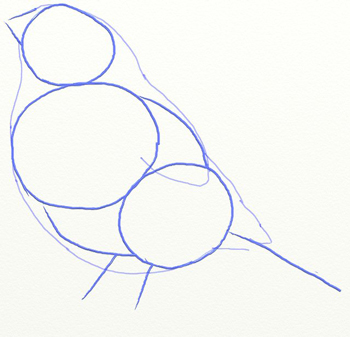 Cum de a desena Bullfinch în etape