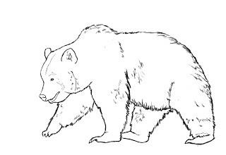 Як намалювати ведмедя поетапно