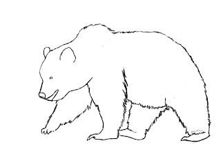 Як намалювати ведмедя поетапно