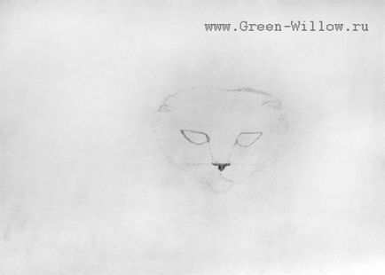 Як намалювати вислоухую кішку олівцем