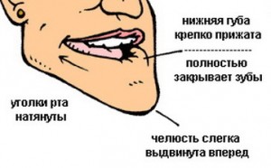 Hogyan lehet megtanulni fütyülni hangos nélkül ujjak, video (tanulni) Hogyan lehet megtanulni fütyülni hangos nélkül ujjak, videó
