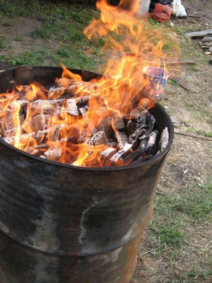 Як отримати біопаливо своїми руками