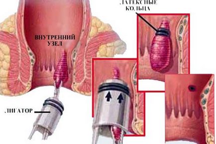 Cum de a mări tensiunea arterială unui câine