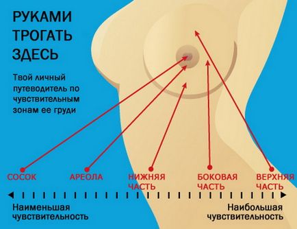 Cum sa zambeasca sanii femeilor in mod corect