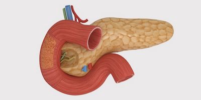 Cum se manifestă problemele pancreasului?