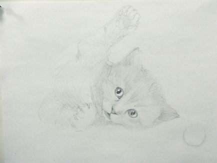 Як малювати кошеня грайливий кошеня