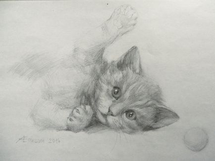 Як малювати кошеня грайливий кошеня